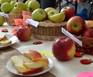 Festival řemesel a jablečné slavnosti 2015